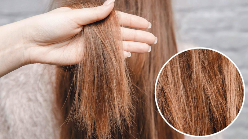 Top 10 cách dưỡng tóc khô xơ tại nhà hiệu quả NHẤT