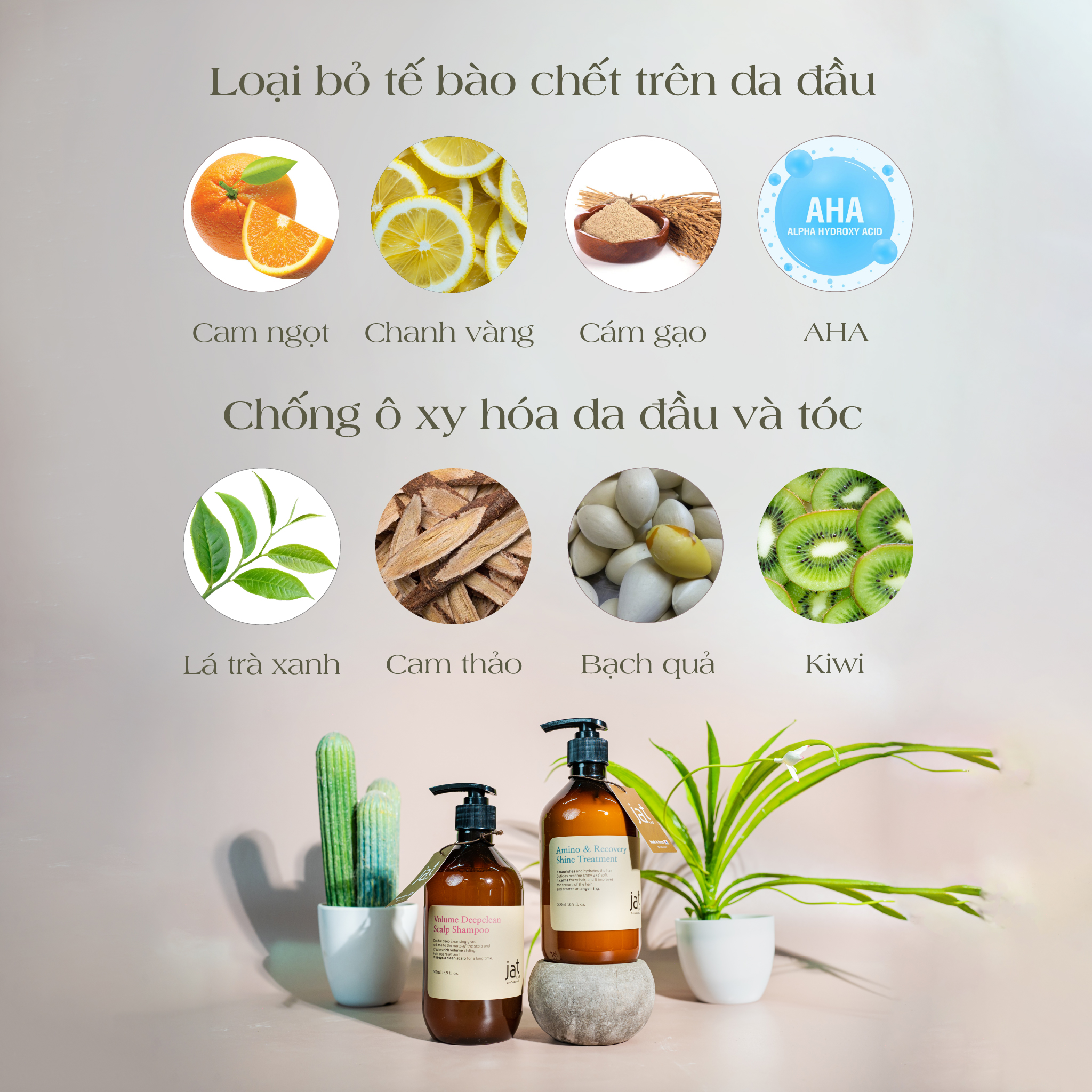 JATLAB Professional Amino & Recovery Shine Treatment