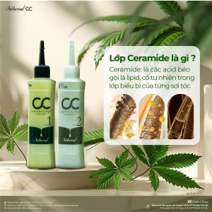Bộ uốn lạnh đa năng CC - Ceramide Collagen Multi Perm
