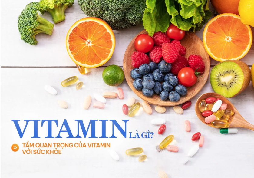 Vitamin là những chất quan trọng cần thiết cho sự sống và sức khỏe