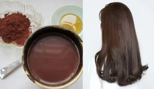 Cách nhuộm phủ bạc màu hạt dẻ