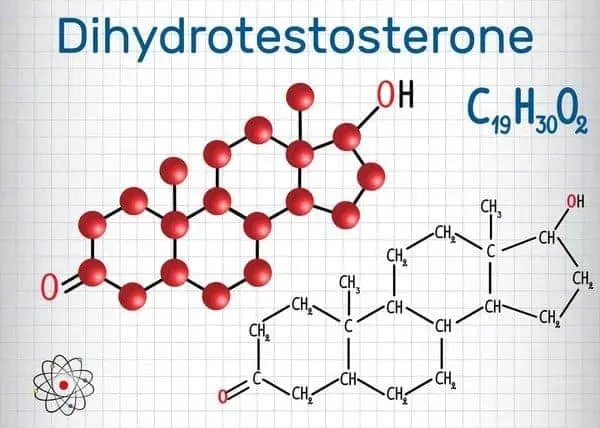 Hormone DHT có tác dụng gì?