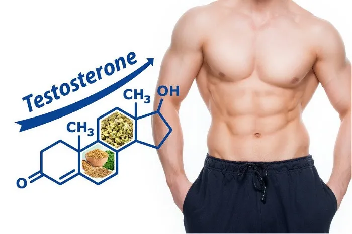 Hormone testosterone là gì?