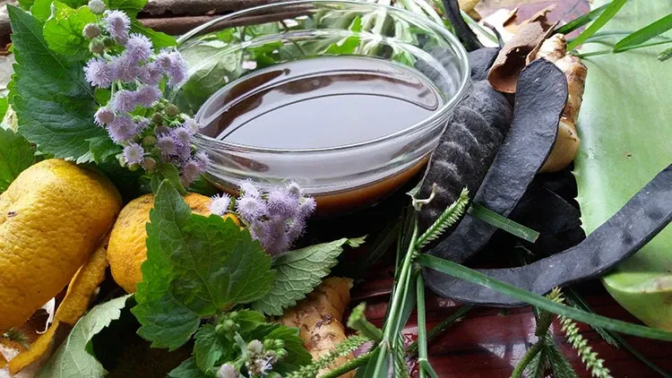 Gội đầu bằng bồ kết