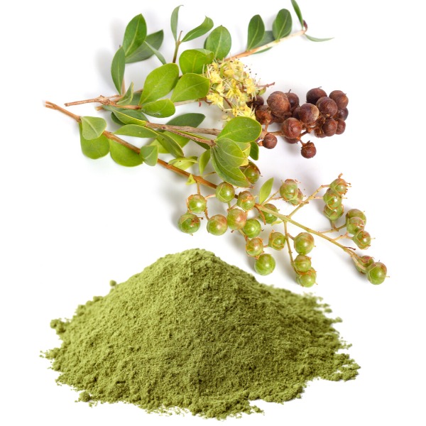 Nhuộm tóc bạc bằng lá móng (henna)