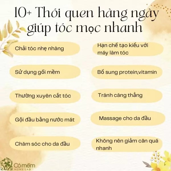 thói quen chăm sóc tóc lành mạnh