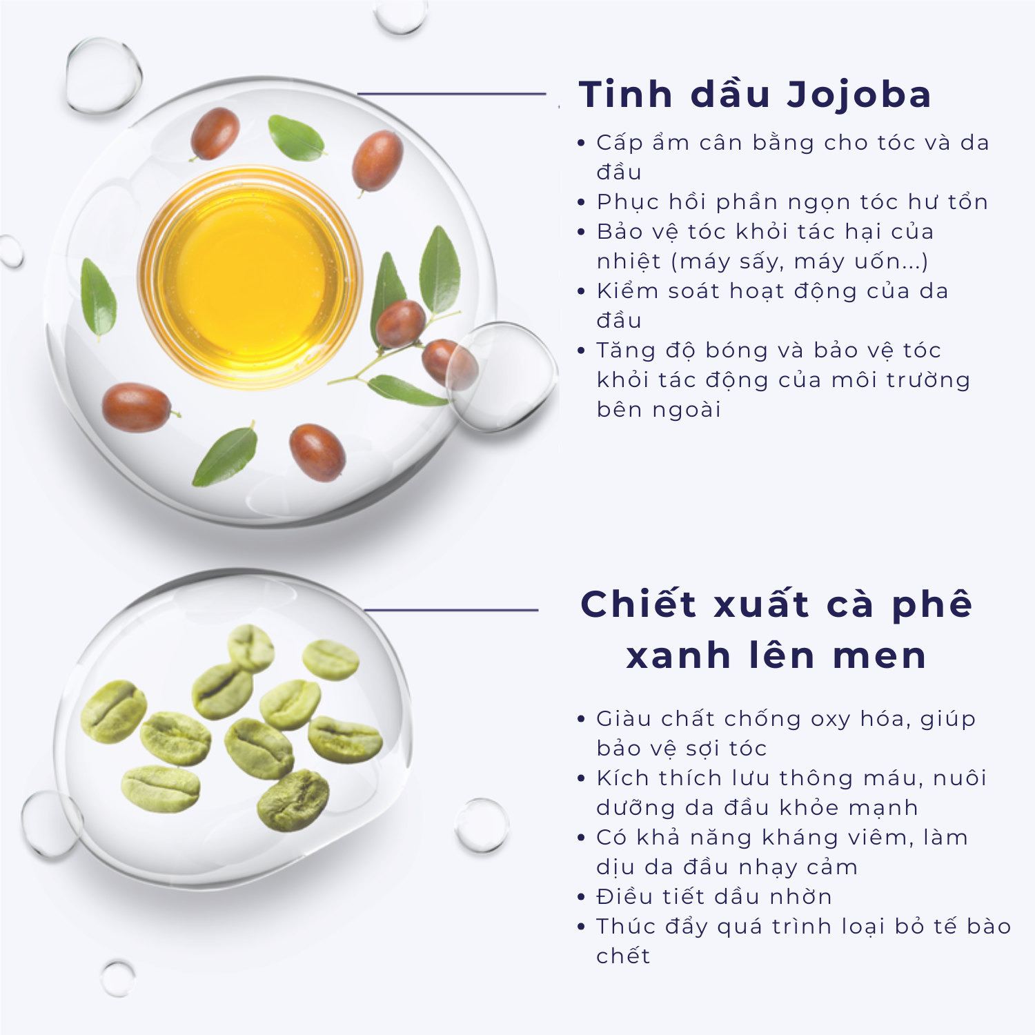 DẦU GỘI DUY TRÌ MÀU SẮC SÁNG