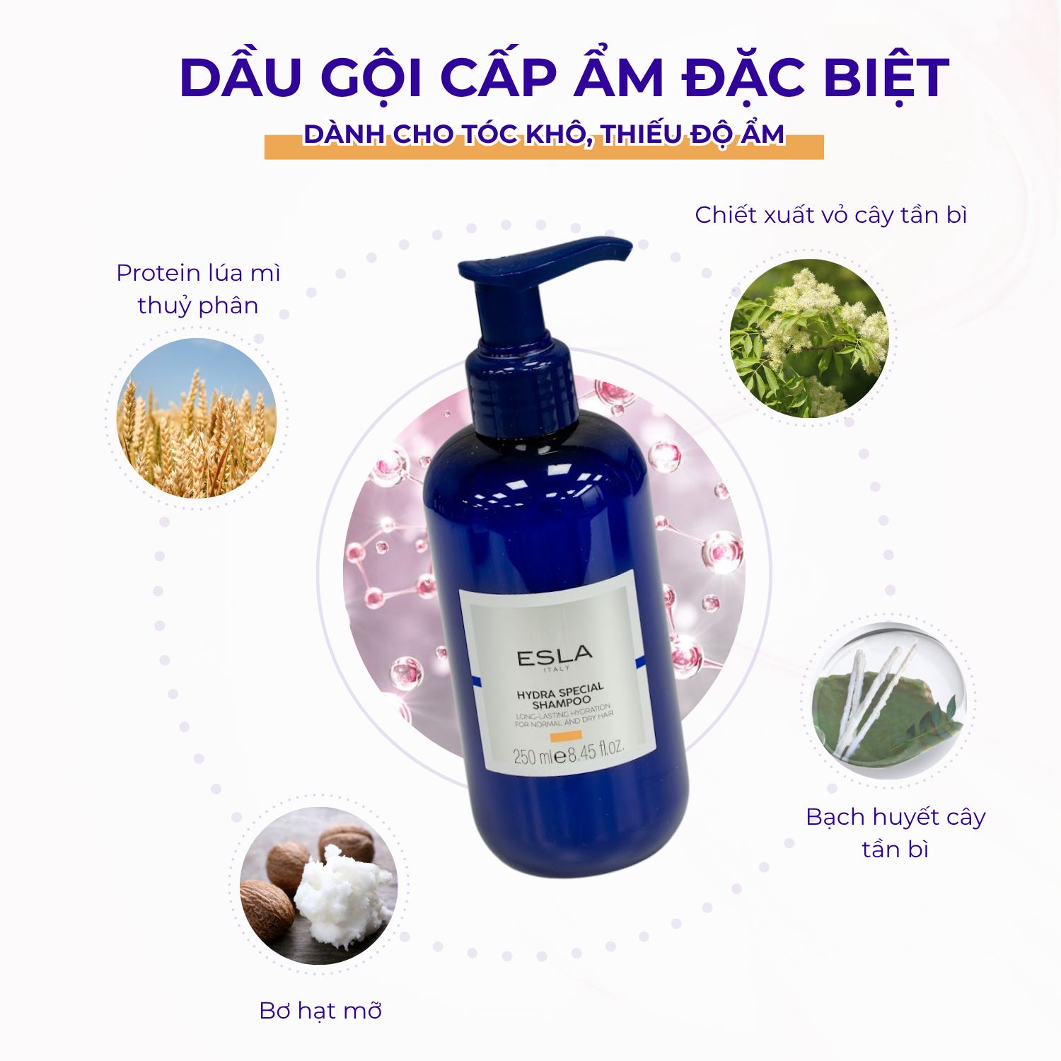 TOP 6 dầu gội trị vẩy nến da đầu hiệu quả, bạn nên thử ngay
