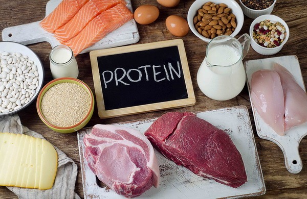 Ưu tiên hàm lượng đạm trong khẩu phần