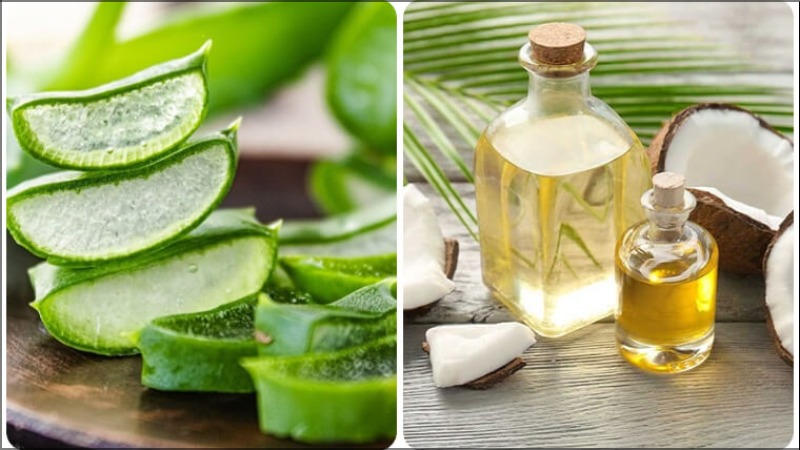 Ủ tóc bằng gel nha đam kết hợp dầu dừa