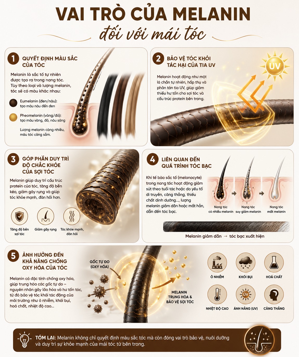 bổ sung melanin cho tóc