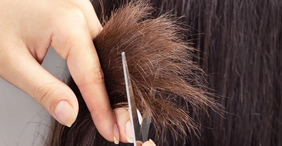 tóc bị chẻ ngọn có nên cắt